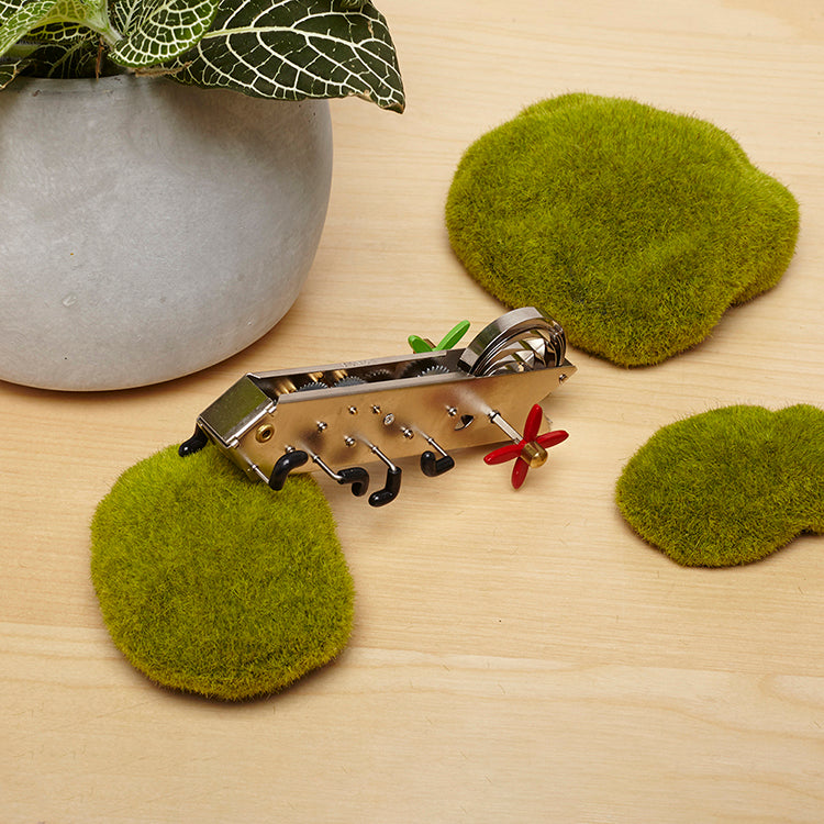 Bonga Climbing Worm Wind Up
