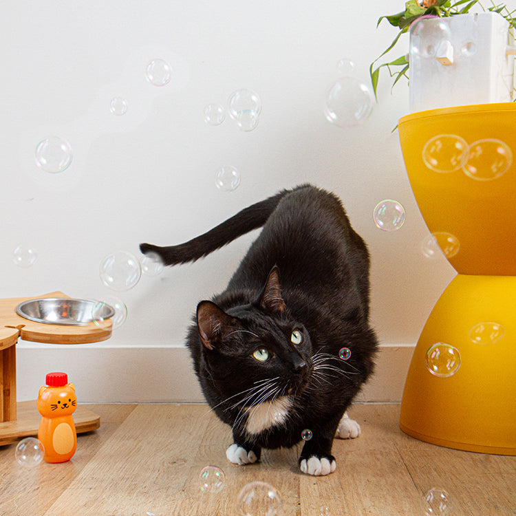 kiko catnip bubbles