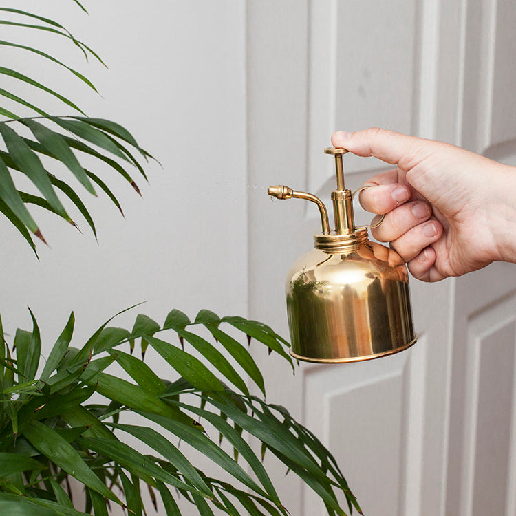 Plant Mister Brass