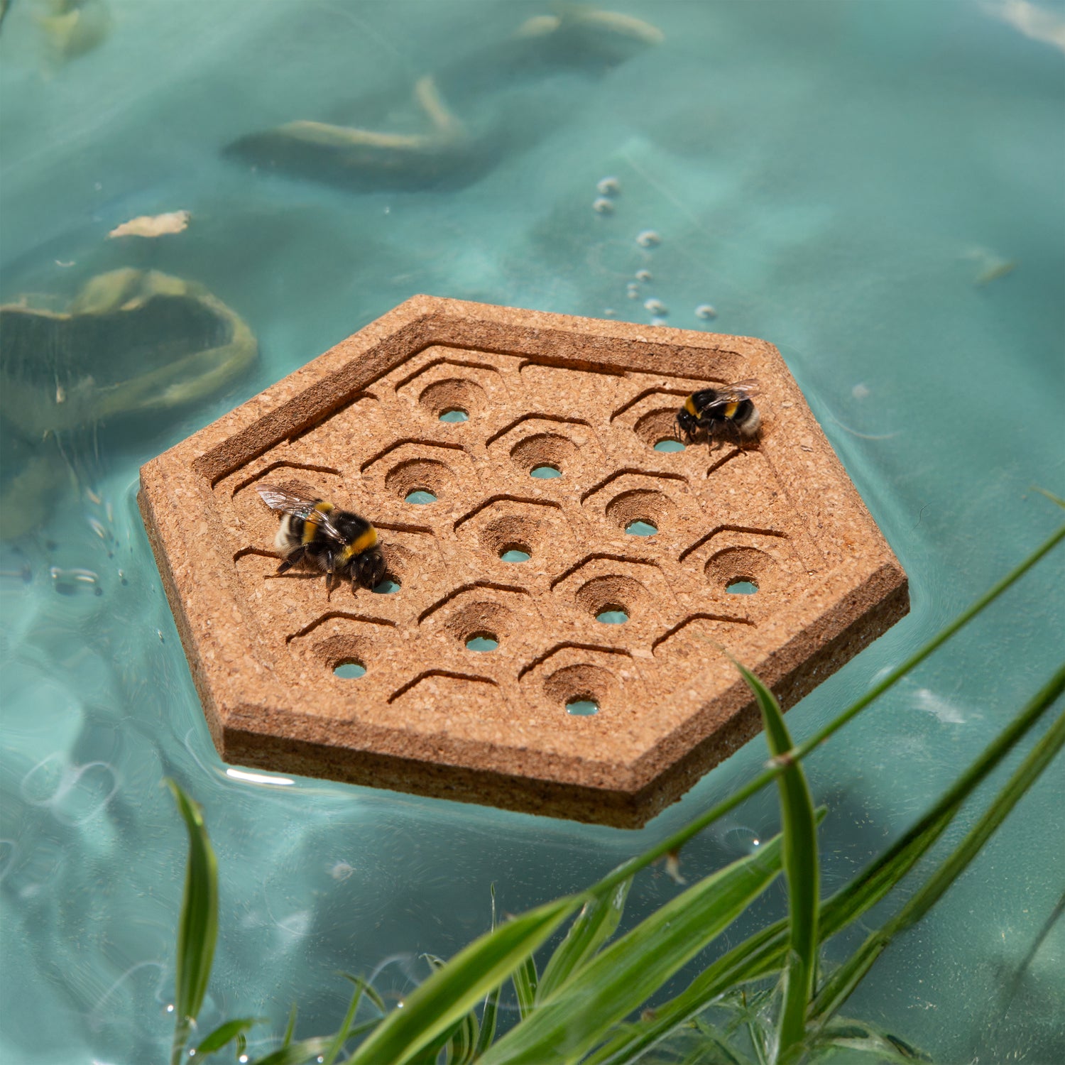 Bee Float Island