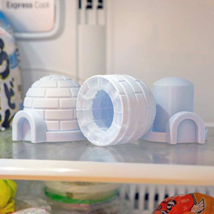 Igloo Mini Ice Molds