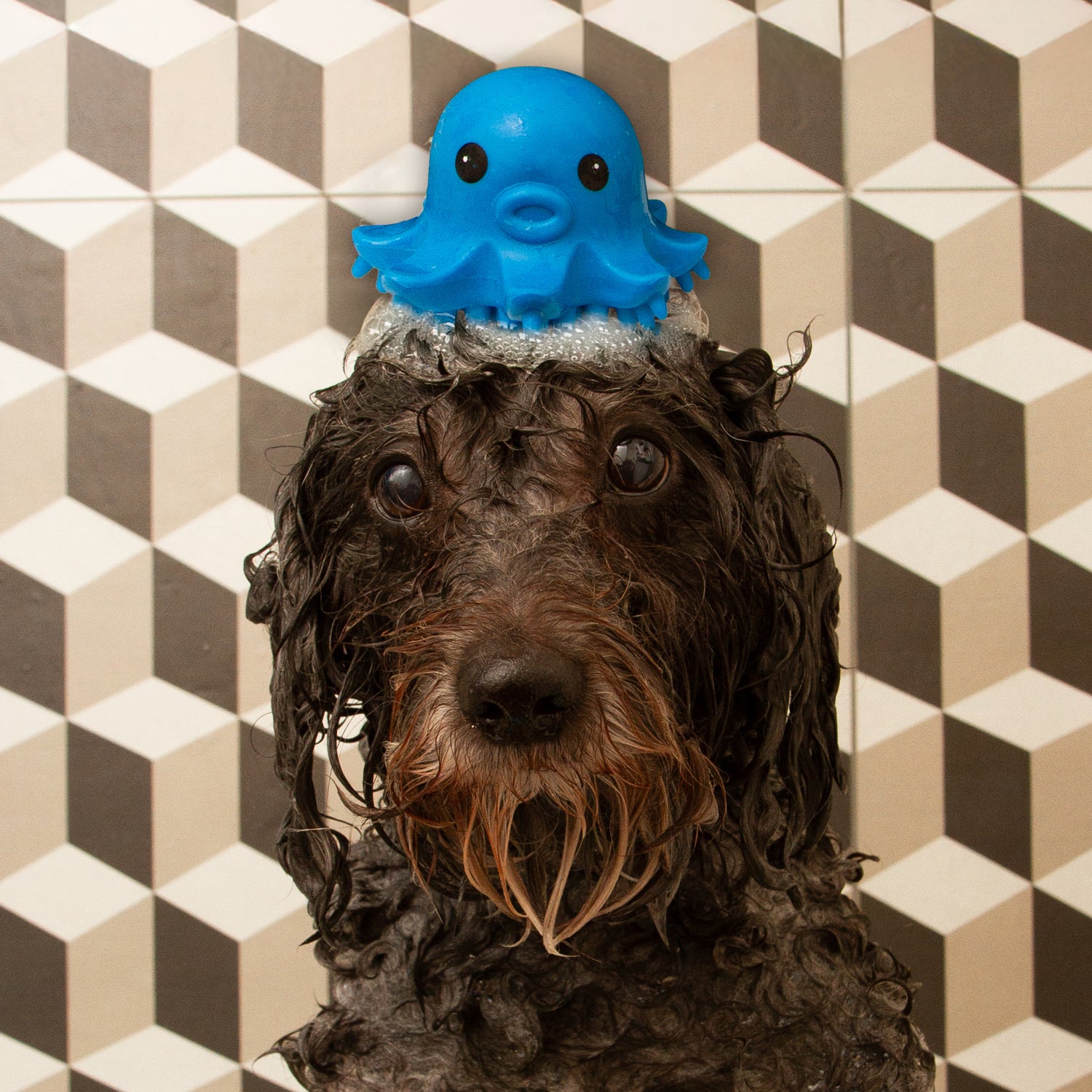 Kobe Octopus Grooming Brush