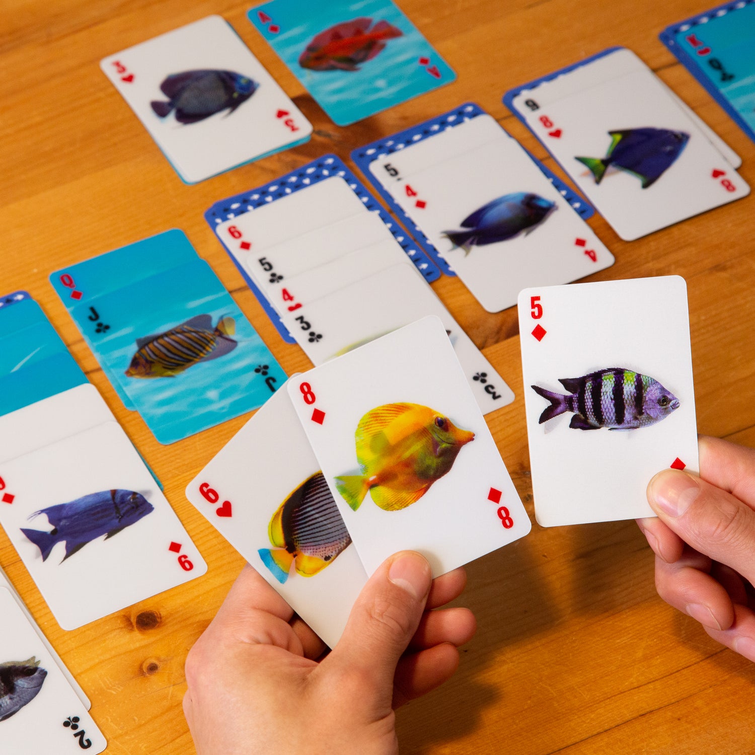 3-d Fish Cards