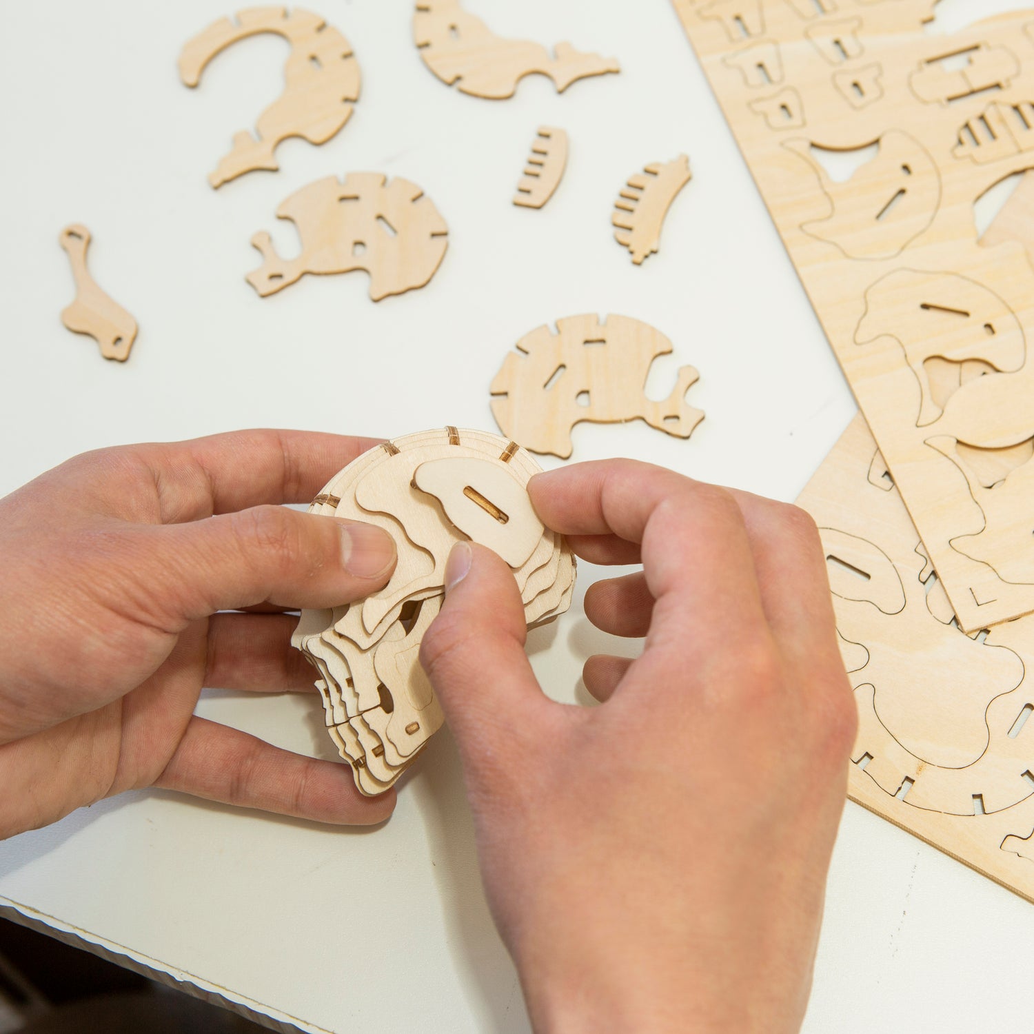 Skull 3d Wooden Puzzle