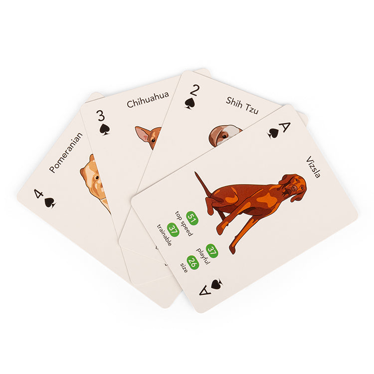 Paws & Play Playing Cards