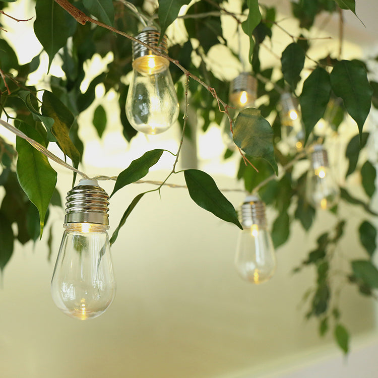Edison Bulb Srring Lights