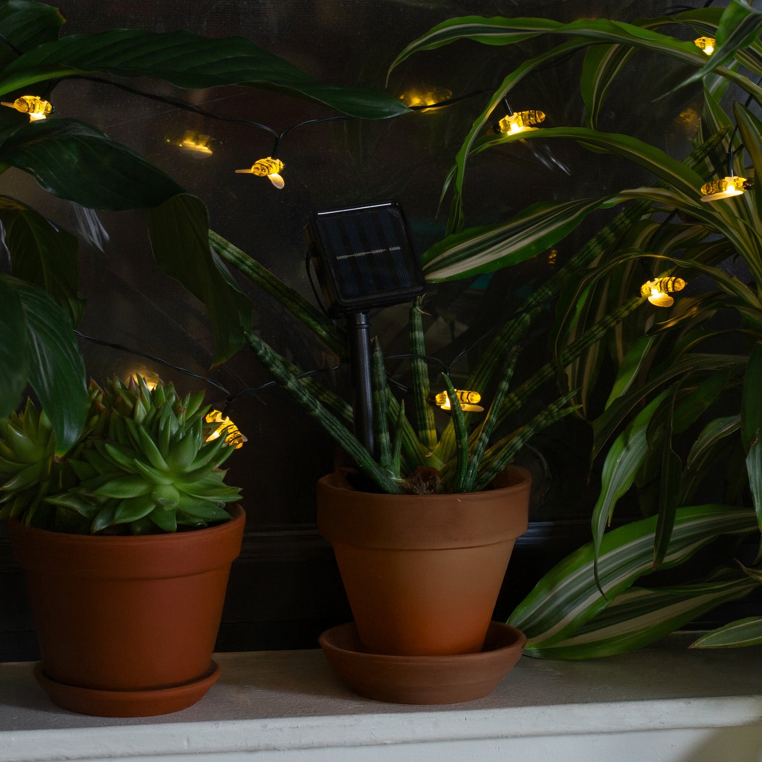Bee Solar String Lights
