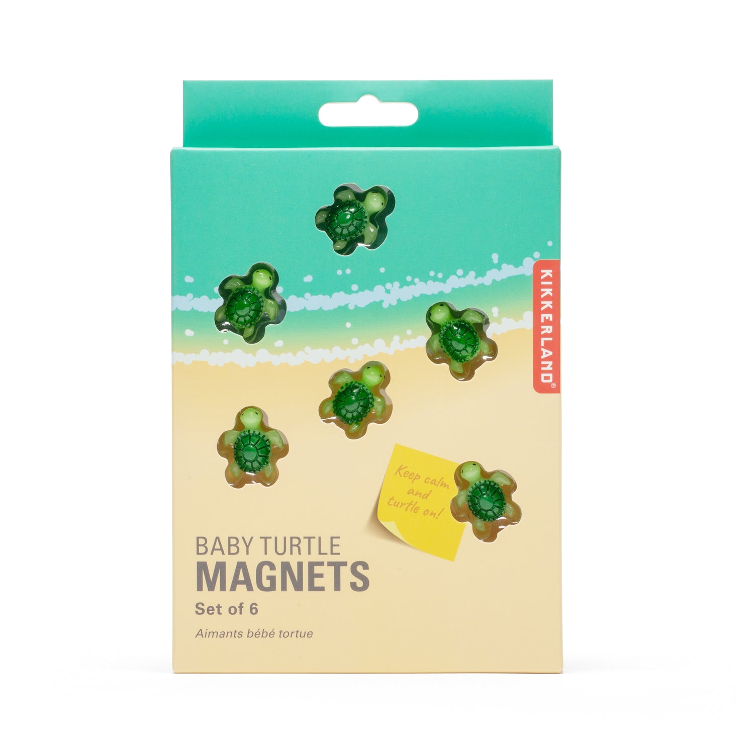 Baby Turtle Magnets
