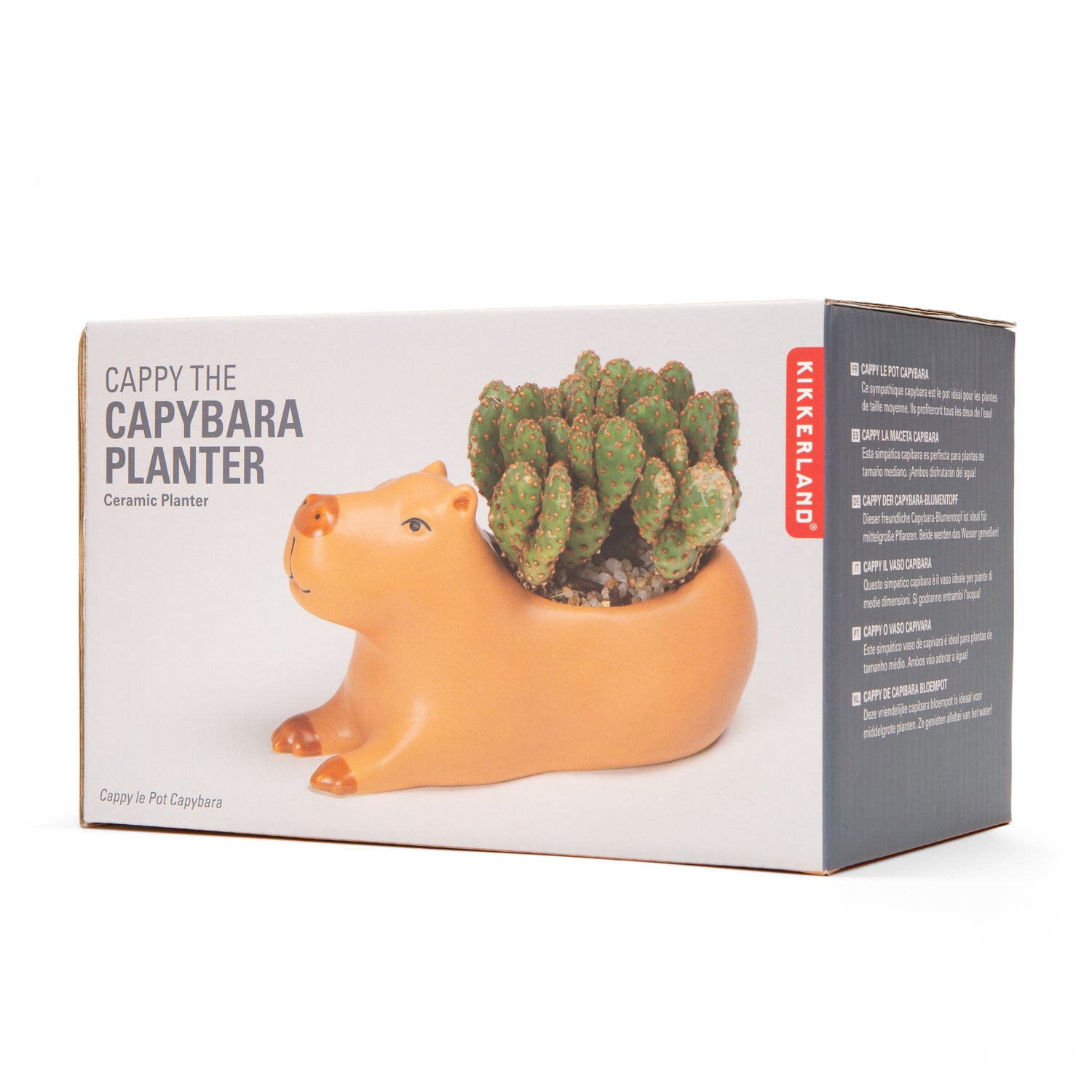 Cappy the Capybara Planter Large