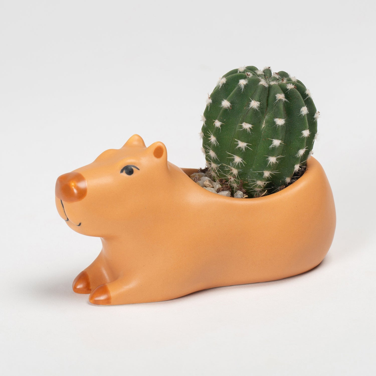 Cappy the Capybara Planter Small