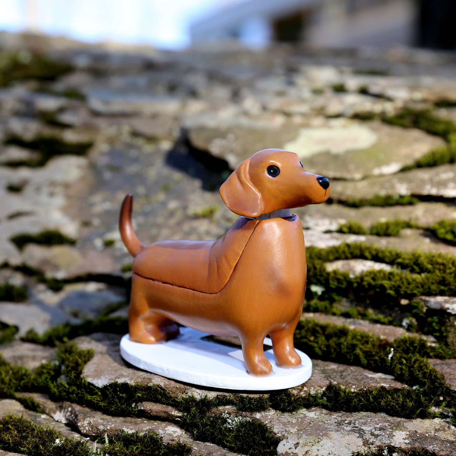 Solar Dachshund Boudewijn