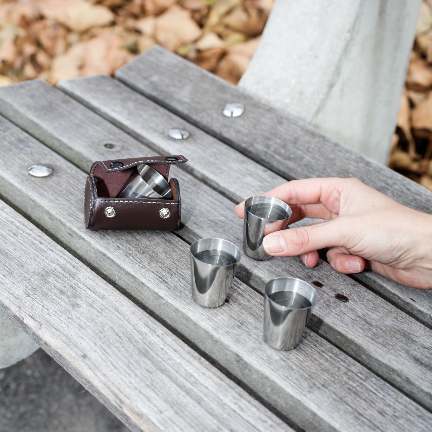 Shot Glasses With Leather Case