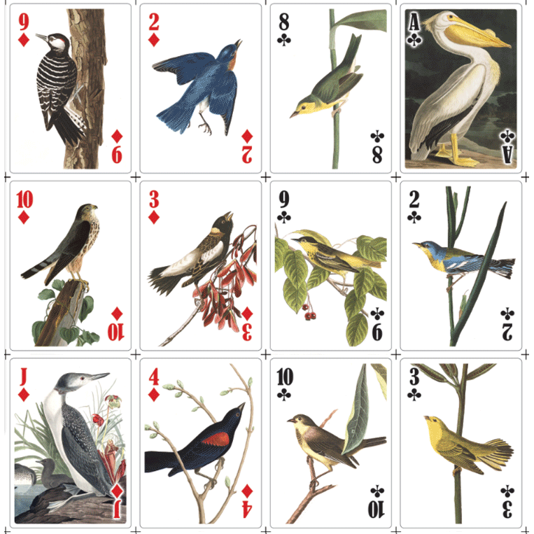 3-d Bird Playing Cards