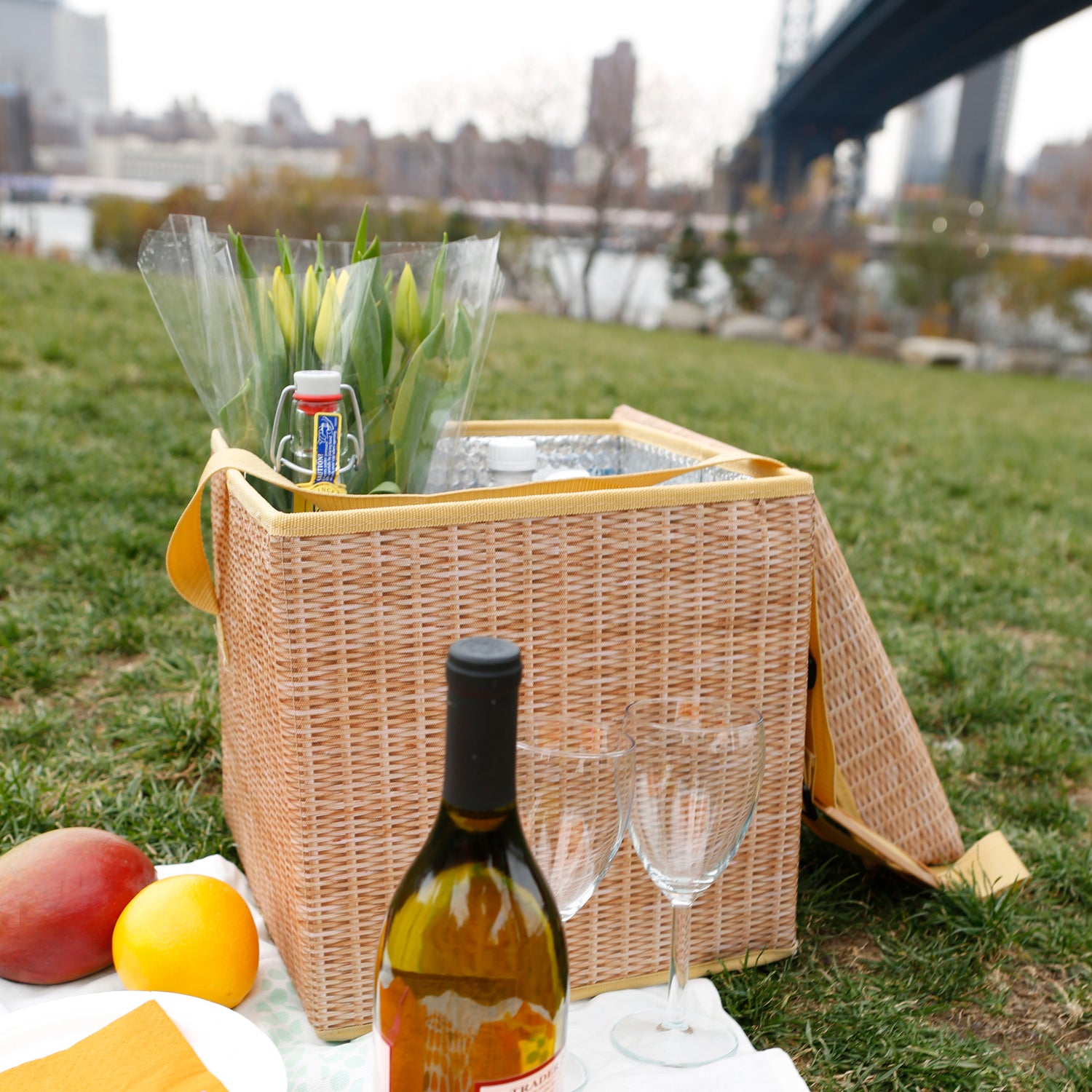 Wicker Picnic Cooler Seat