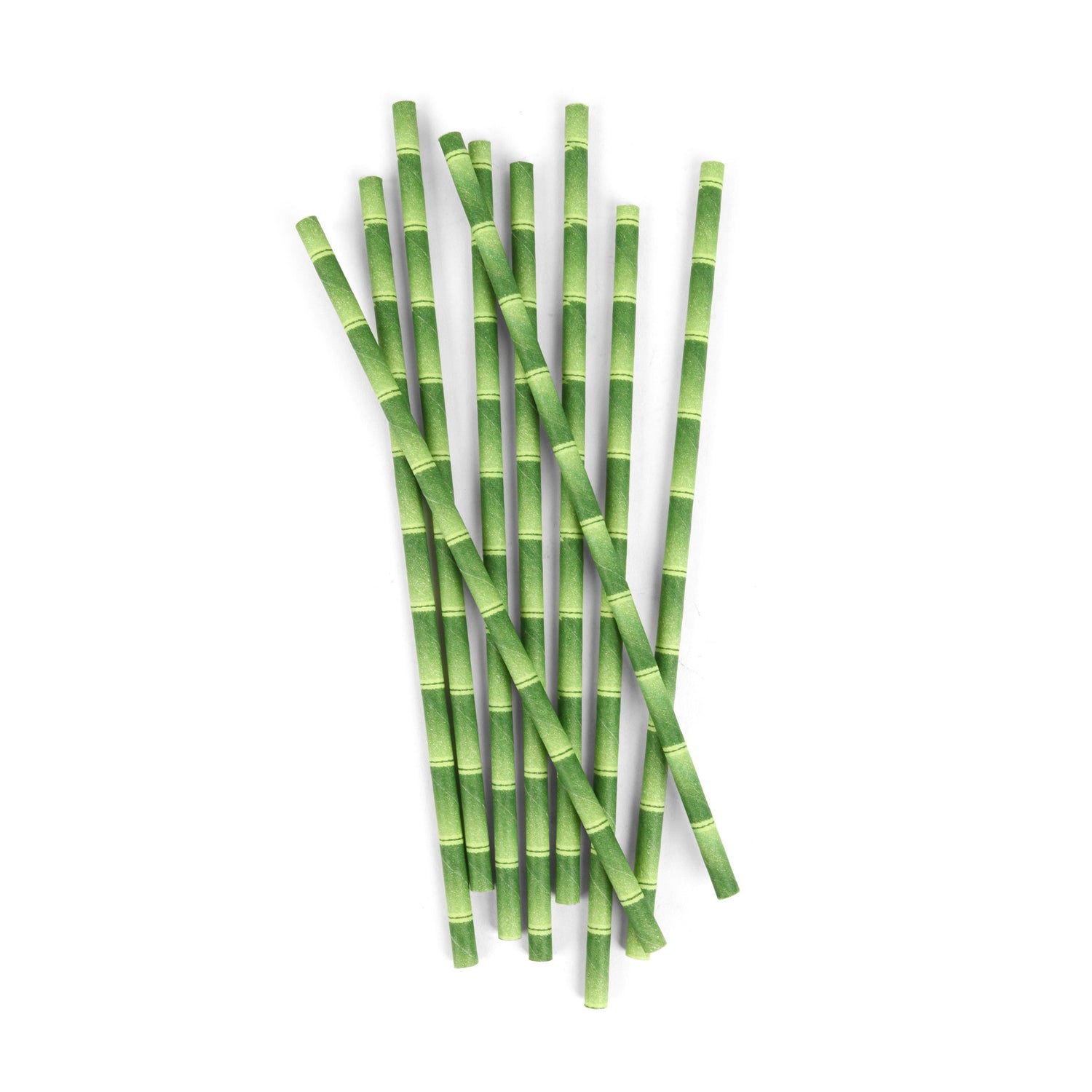 Paper Straws + Bamboo 144 Per Box