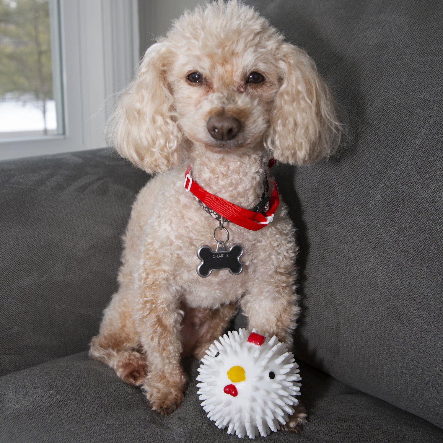 Kobe Chicken Dog Ball