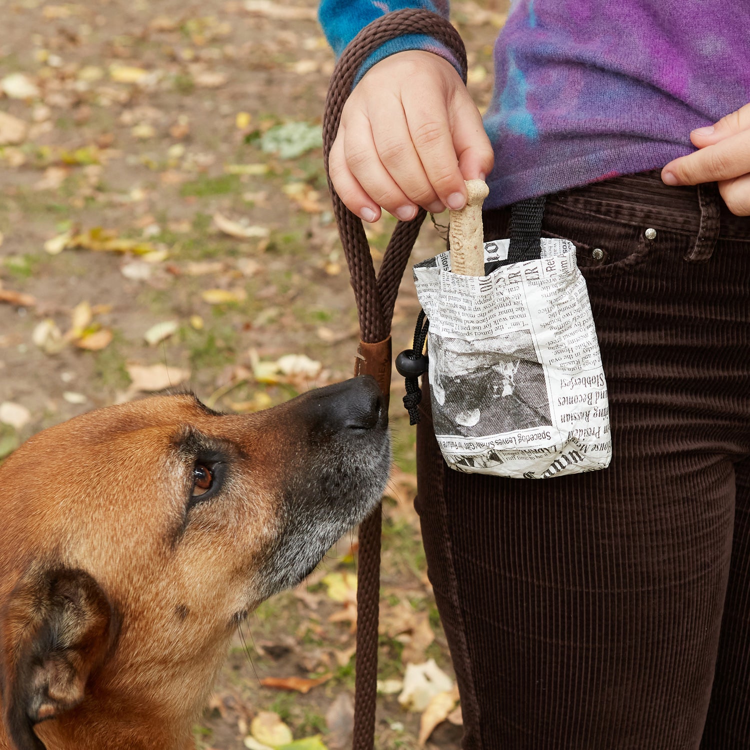 Fake News Treat Bag