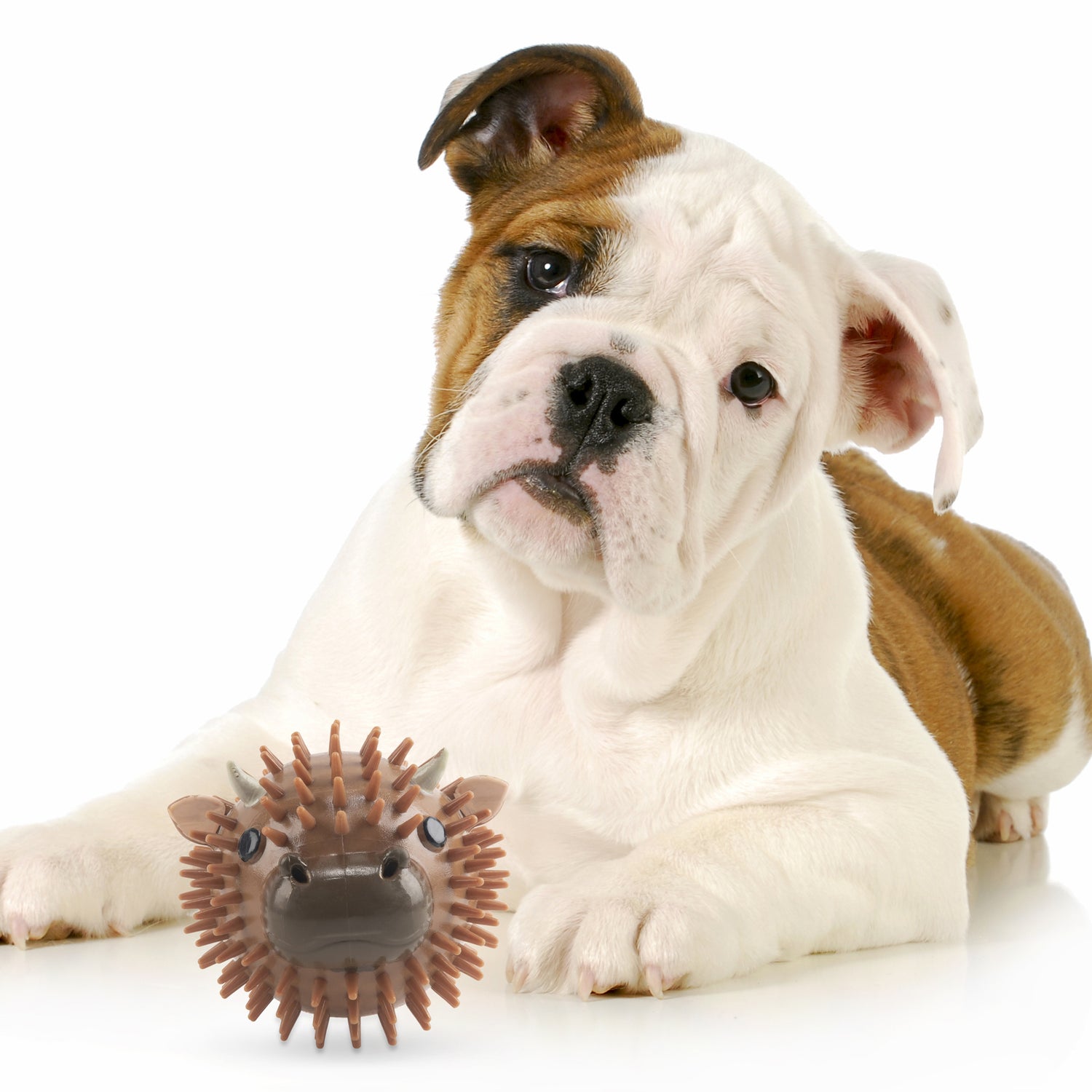 Kobe Cow Dog Ball
