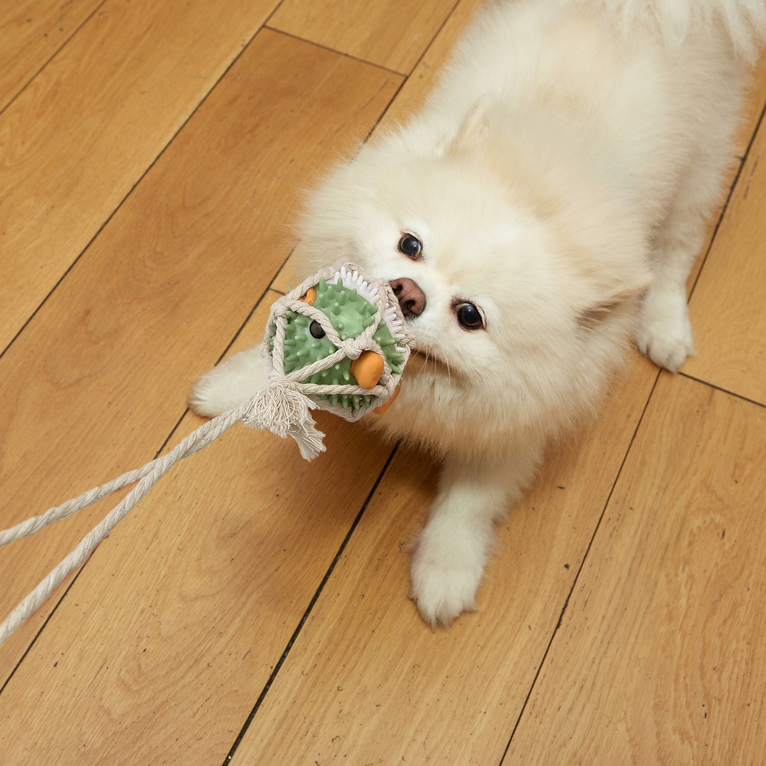 Kobe Pufferfish Tug Toy