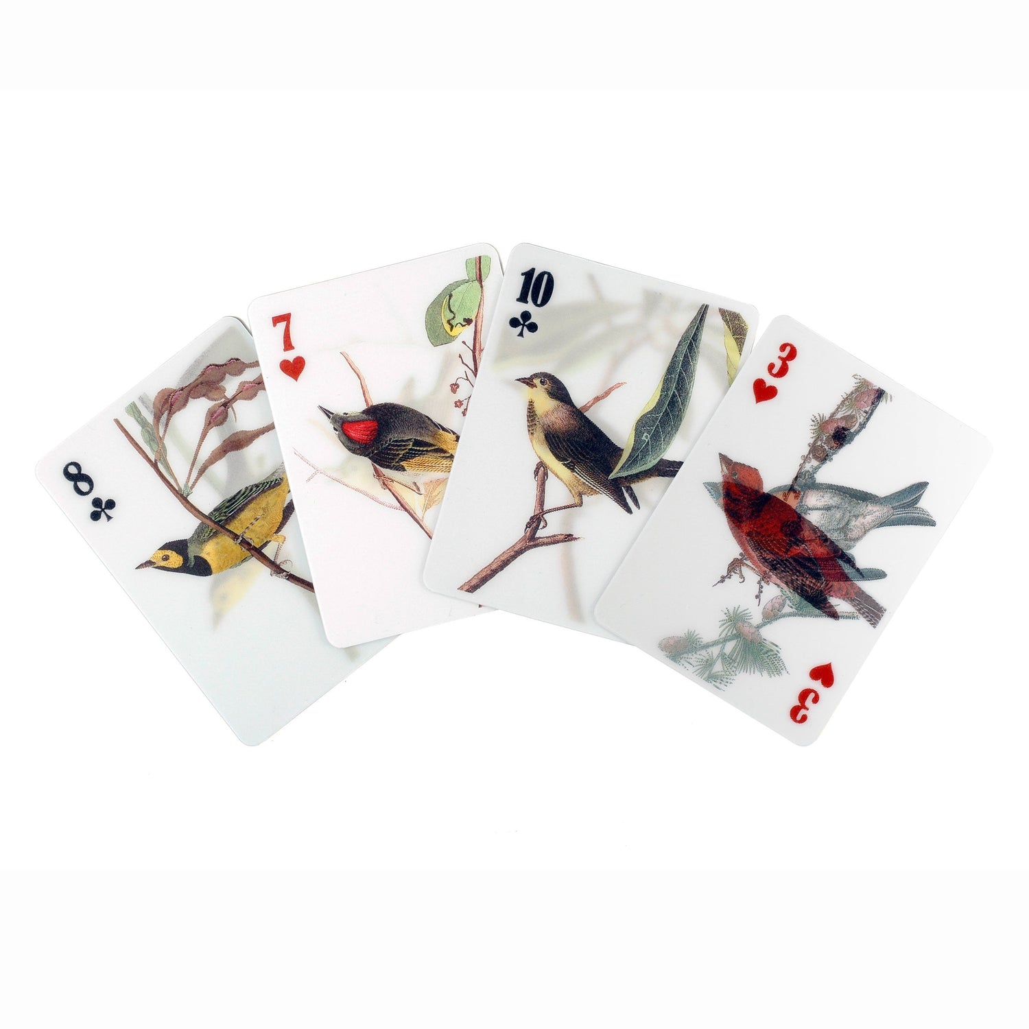 3D Playing Cards - Birds