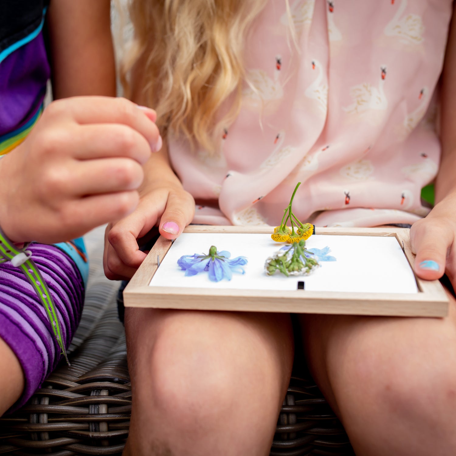 Huckleberry Make Your Own Pressed Flower Frame Art