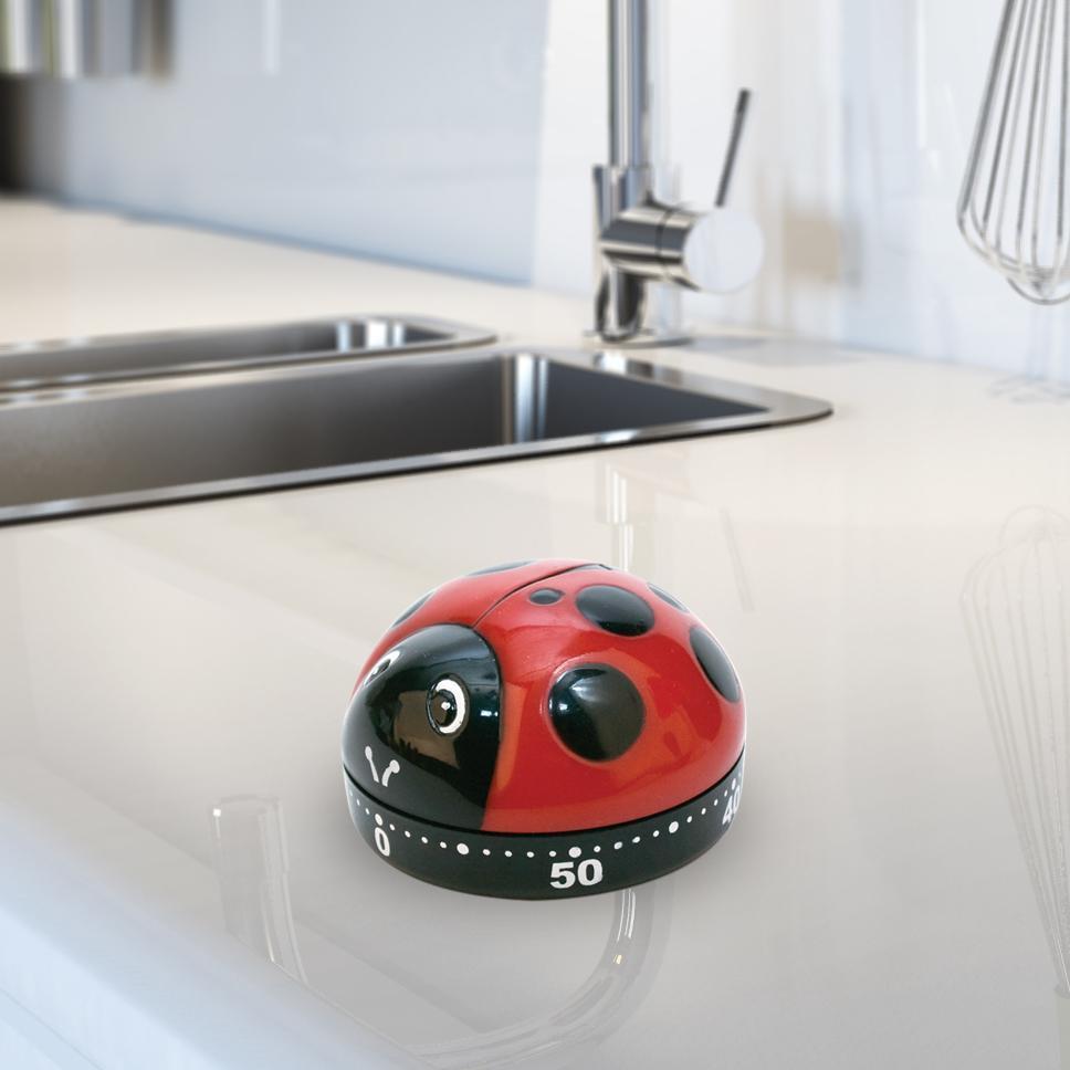 Ladybug Kitchen Timer