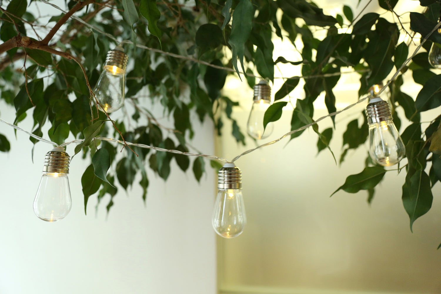 Edison Bulb String Lights