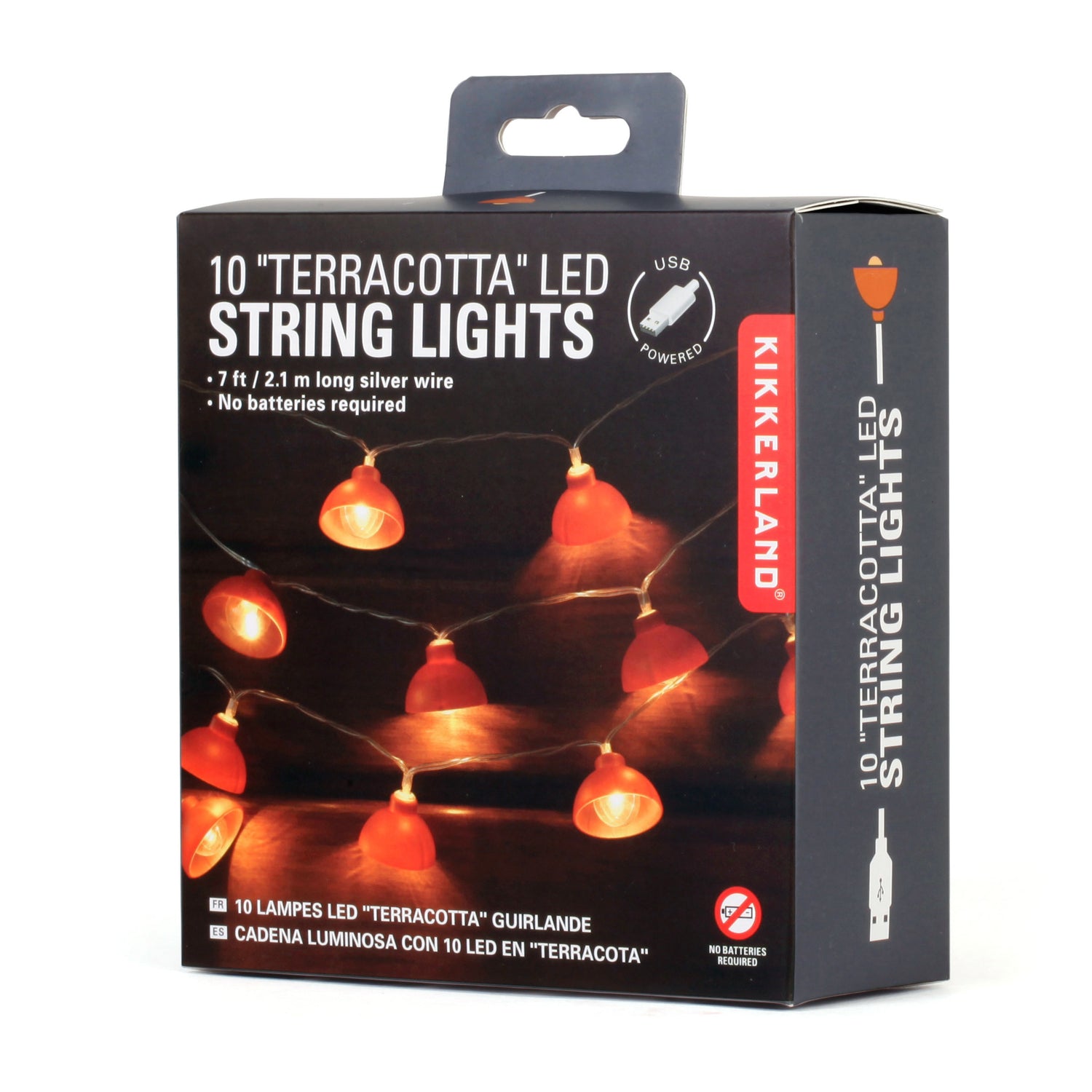 Terracotta String Lights