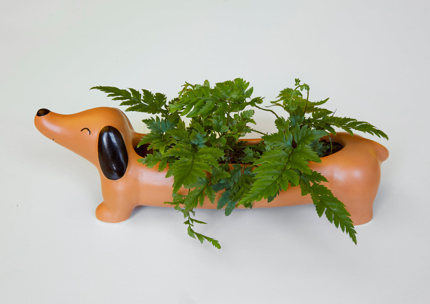 Daisy the Dachshund Planter