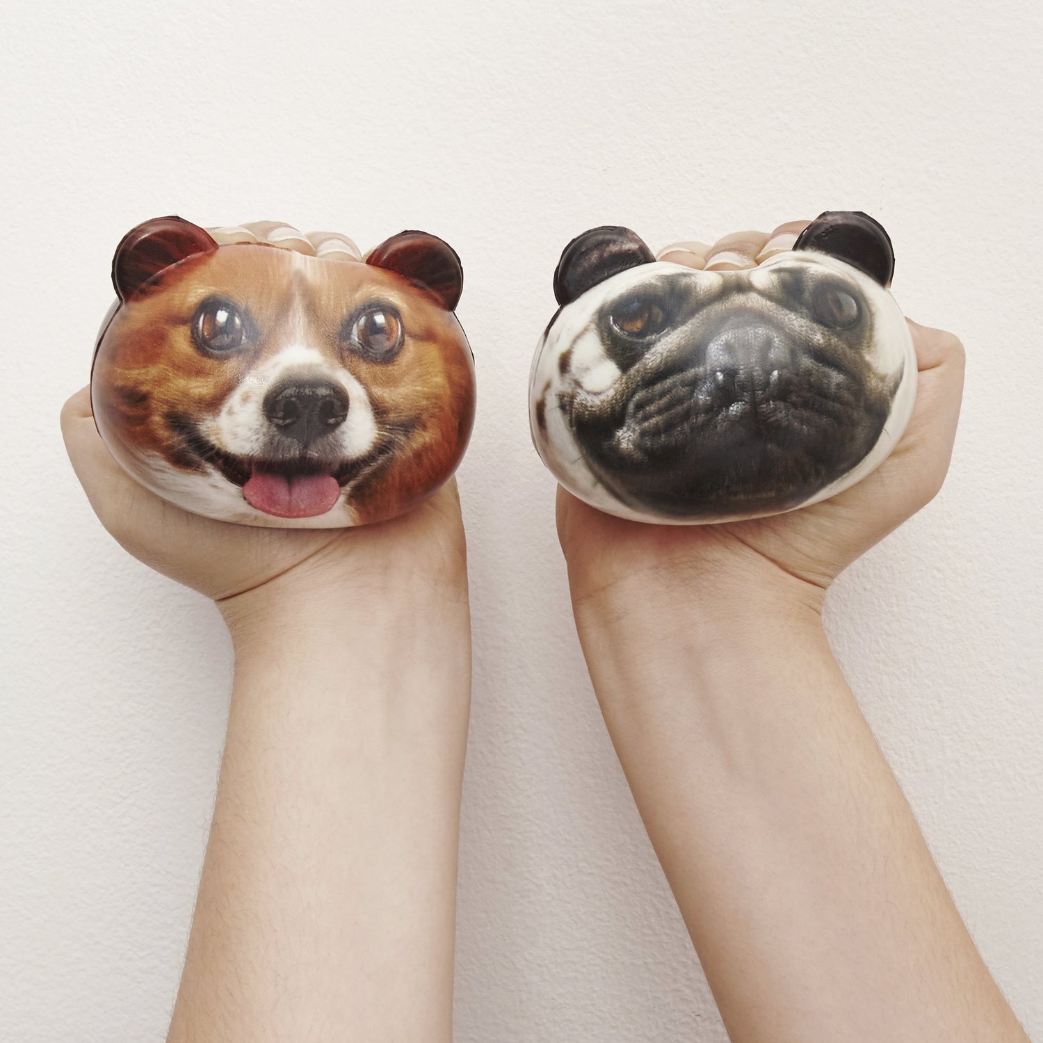 Feeling Ruff? Stress Balls
