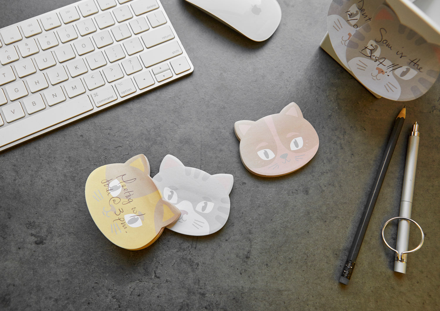 Kitty Cat Sticky Notes