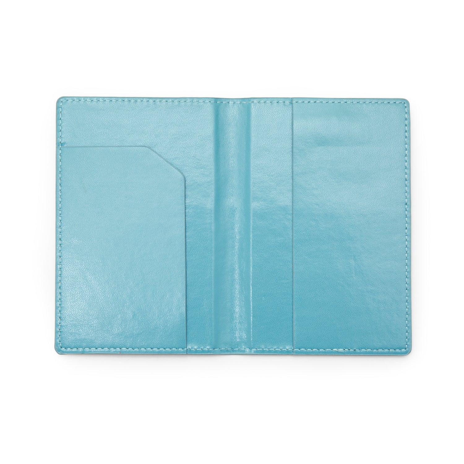 Blue Jet Set Passport Case