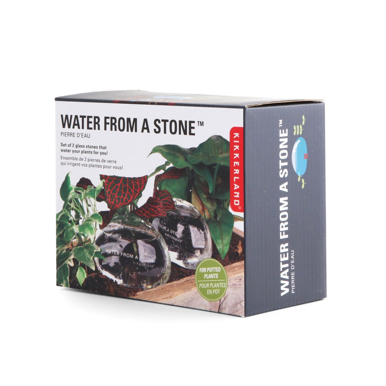 Water From a Stone