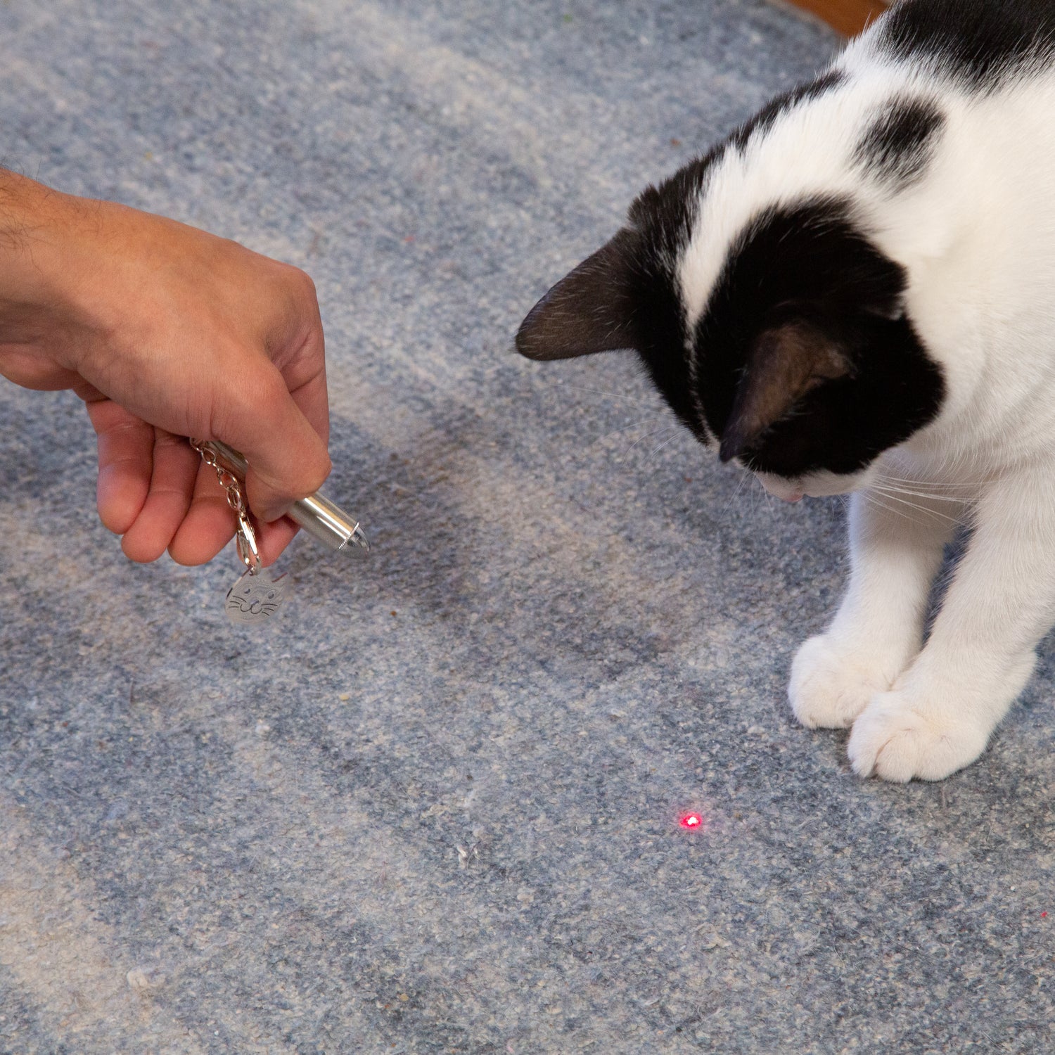 CAT LASER POINTER