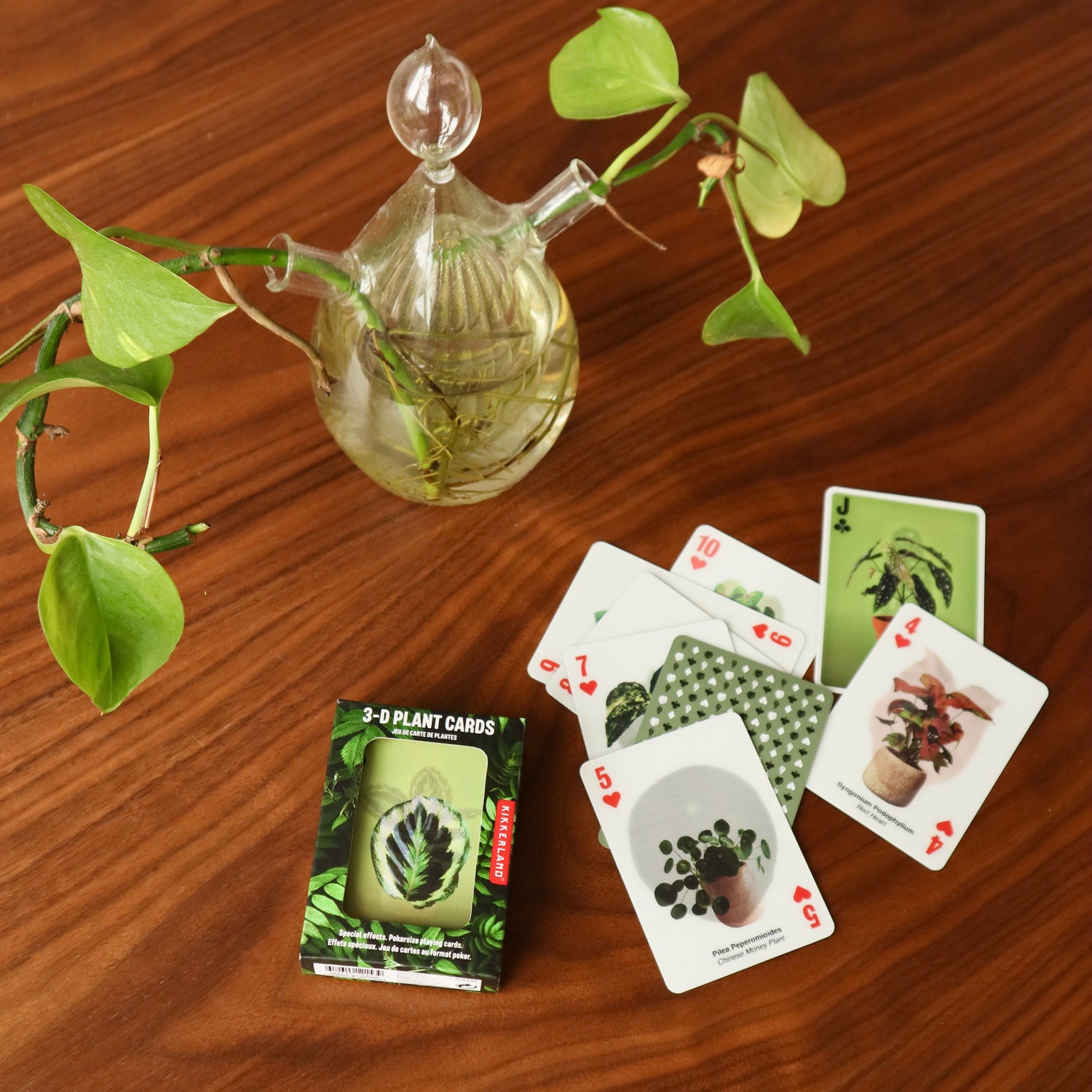 3D Plant Cards