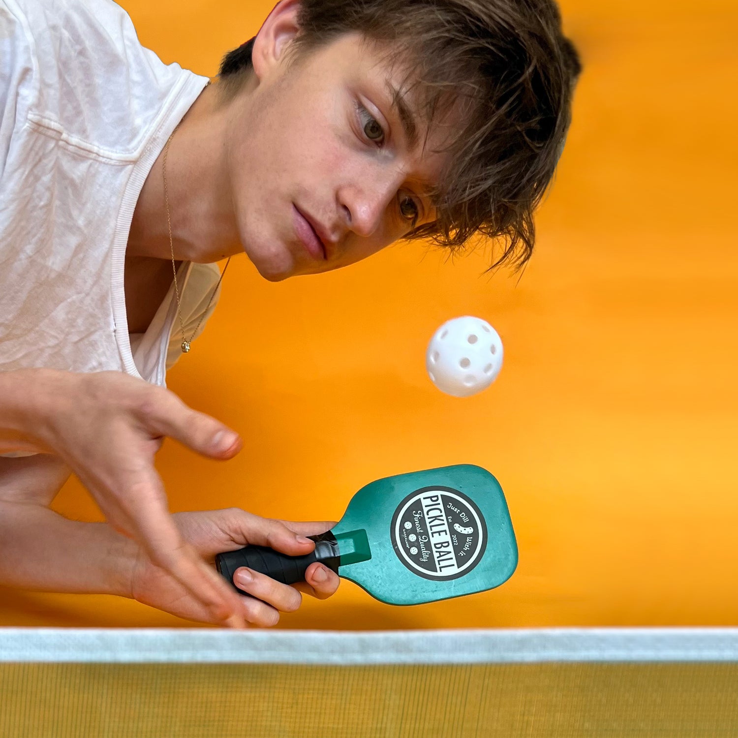 Desktop Pickleball