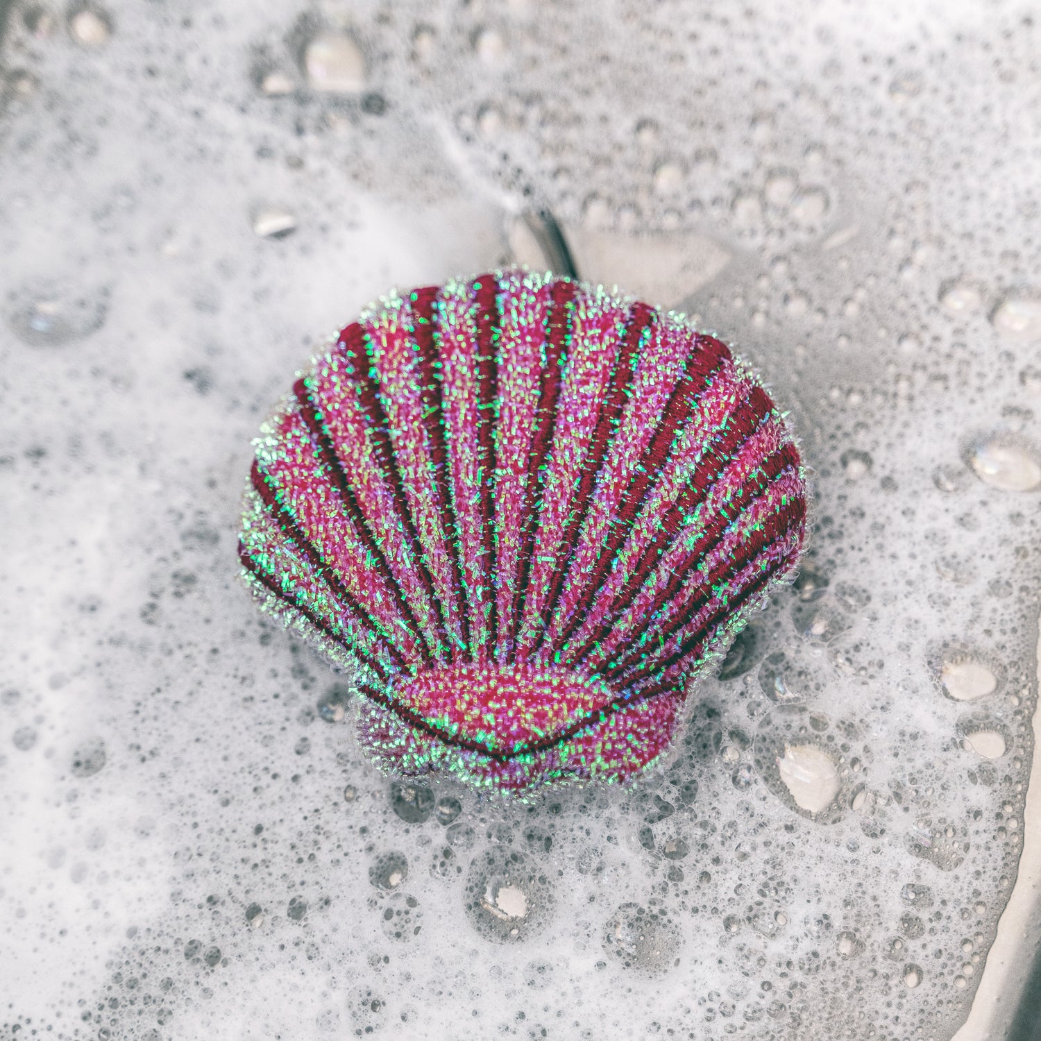 Seashell Scrub Sponges