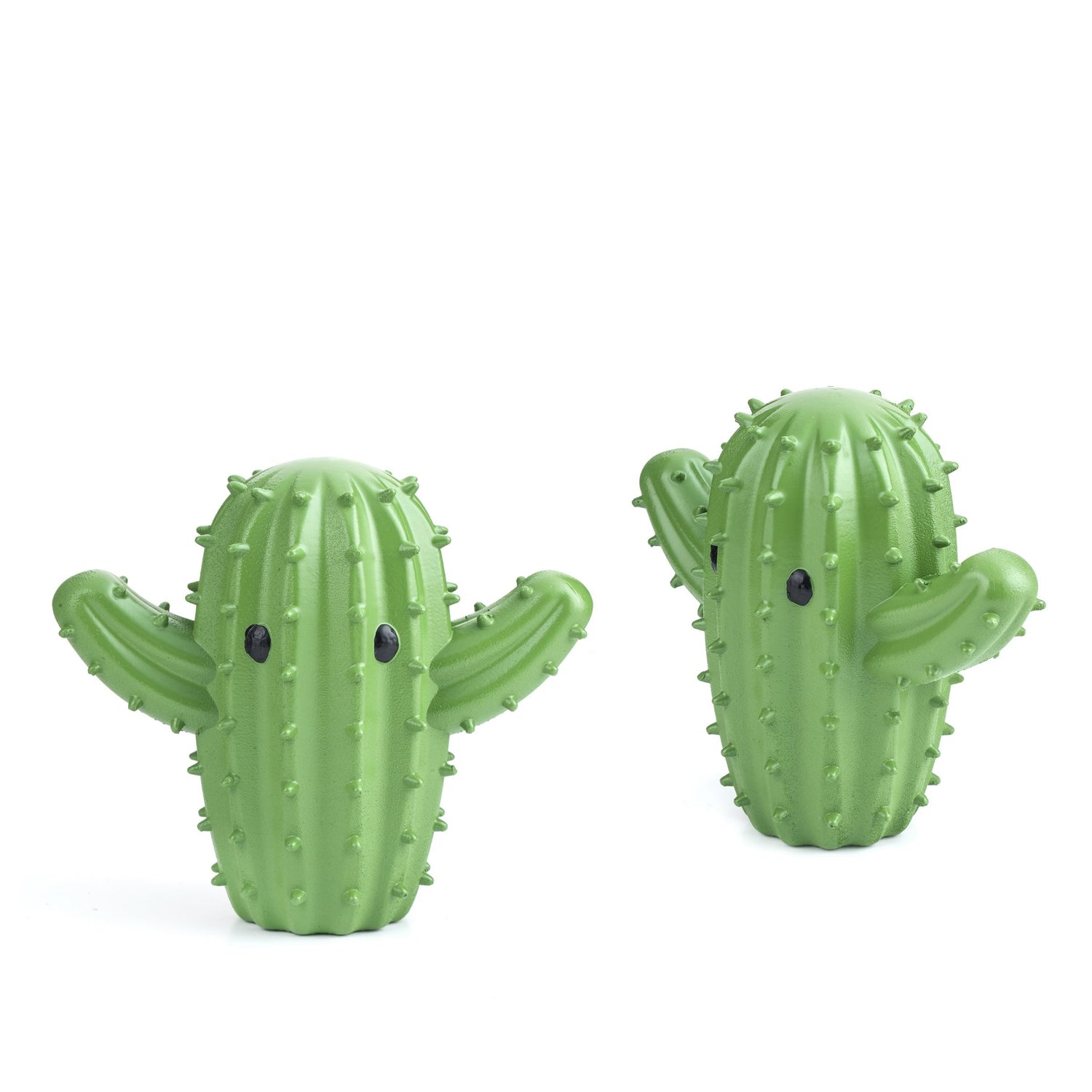 Bolas de secador de cactus