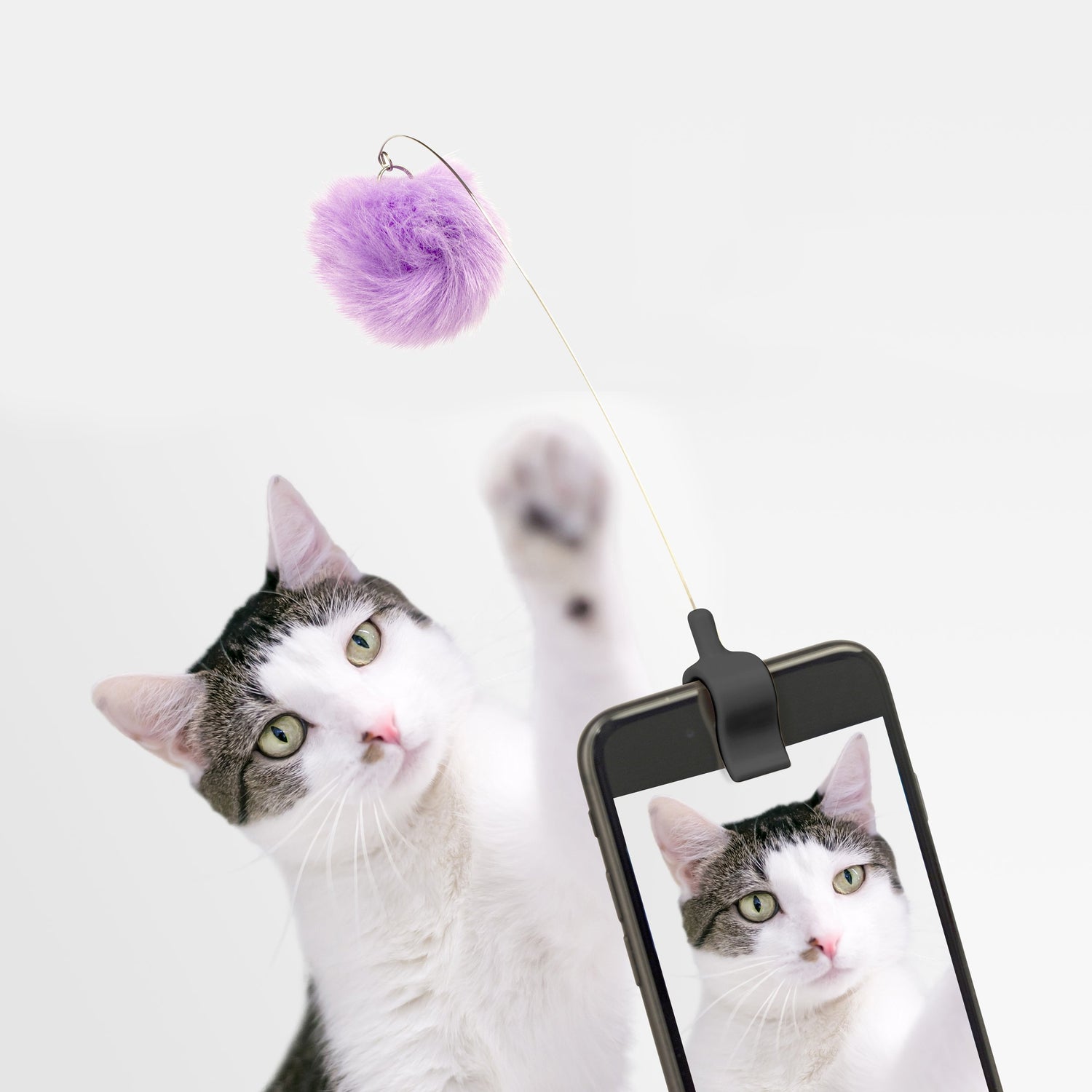 Kitty Phone clip