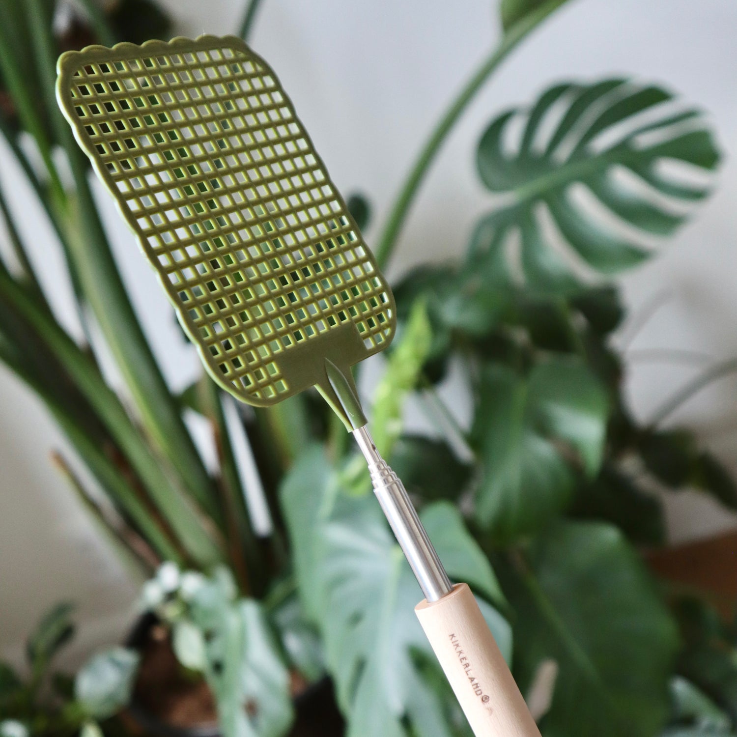 Telescopic Fly Swatter