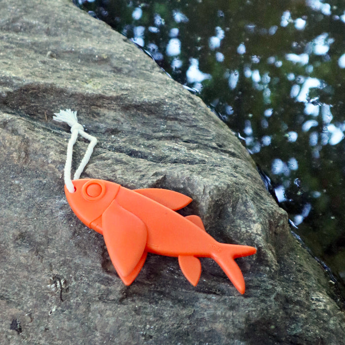 Flying fish toy 2025