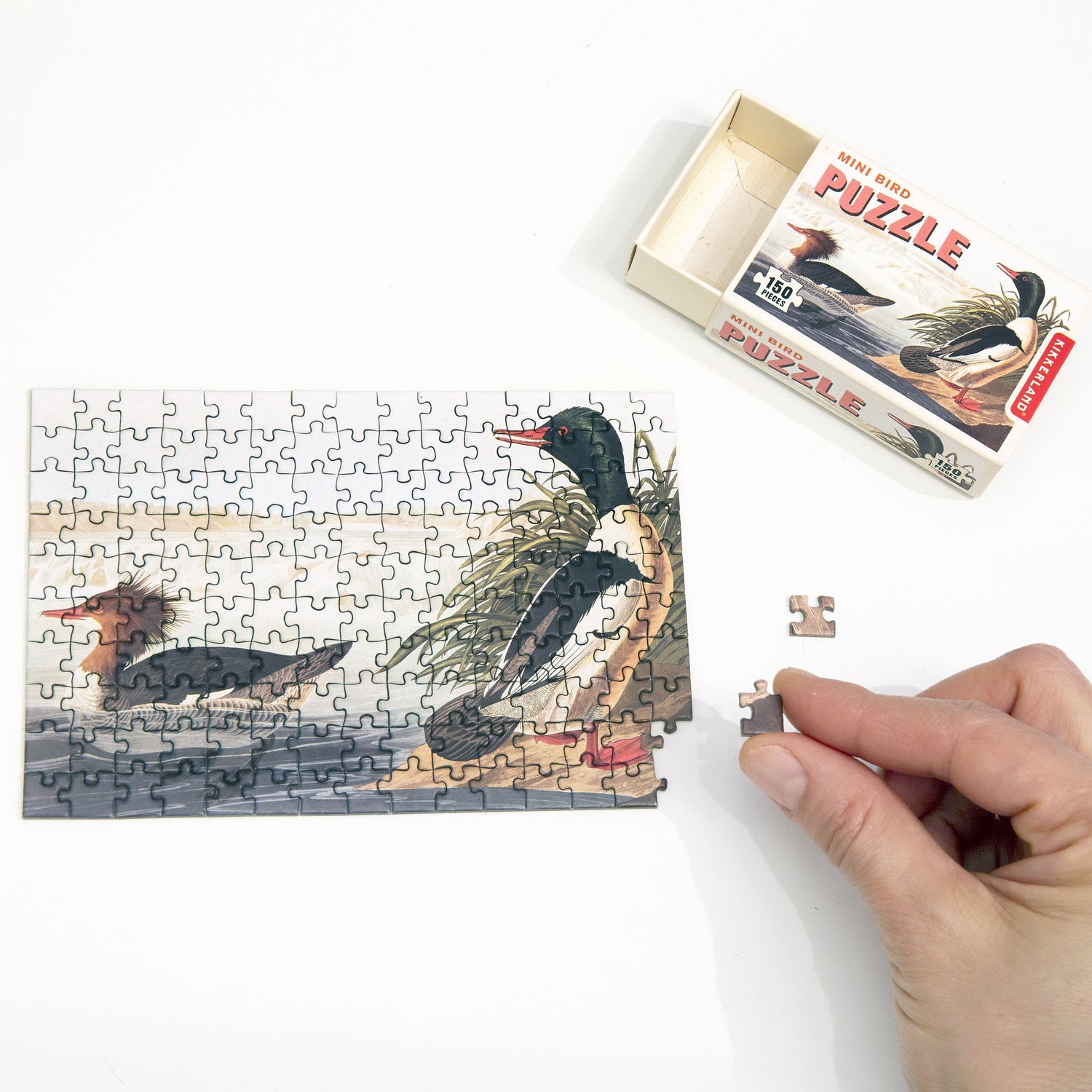 Mini oiseau puzzles assortis