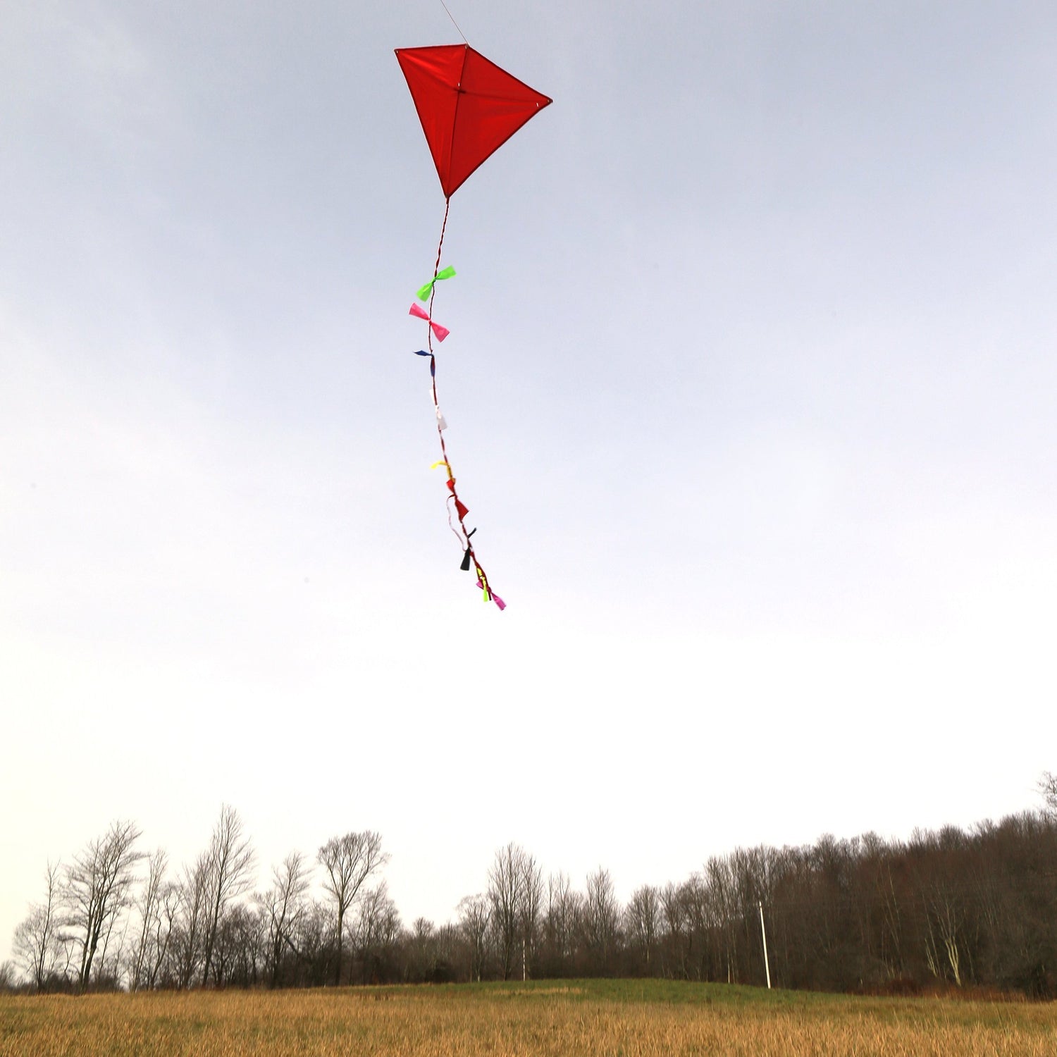 Cerf-volant rouge Huckleberry