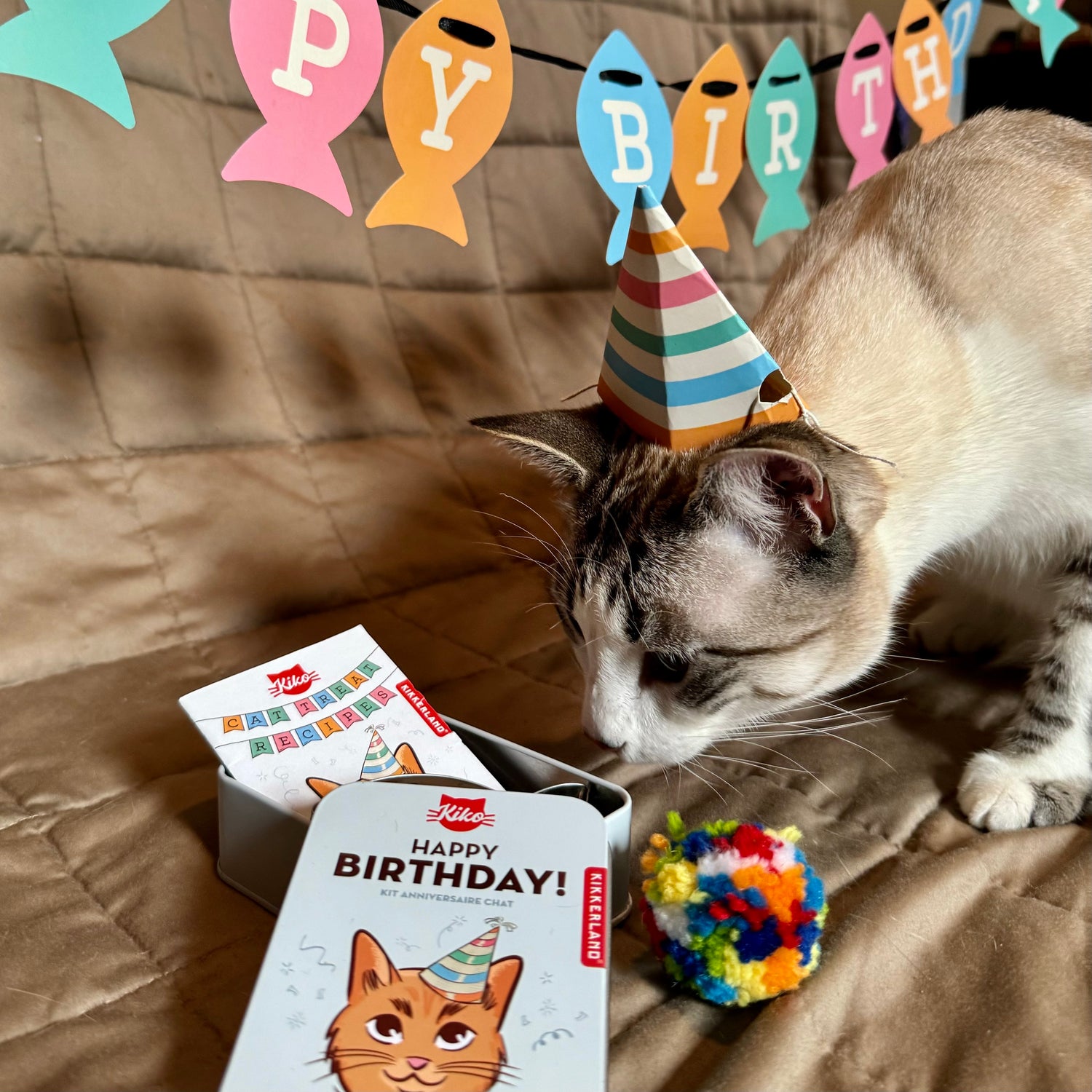 Kiko Cat Happy Birthday Kit