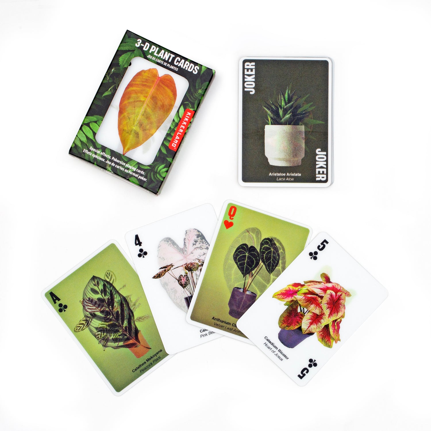 3d Plant Cards