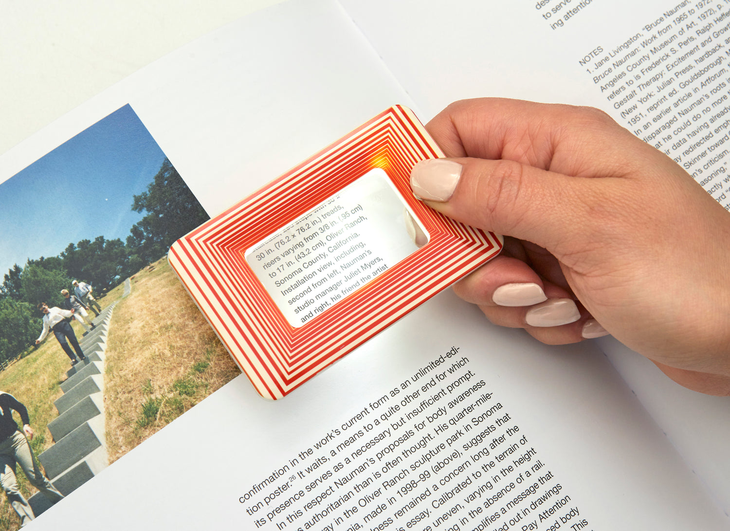 Light Up Magnifier