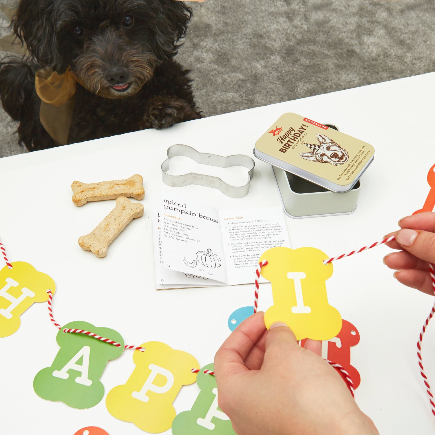 Kobe Dog Birthday Kit