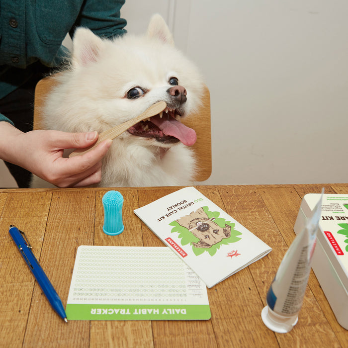 Eco Dental Care Kit Kikkerland B.V