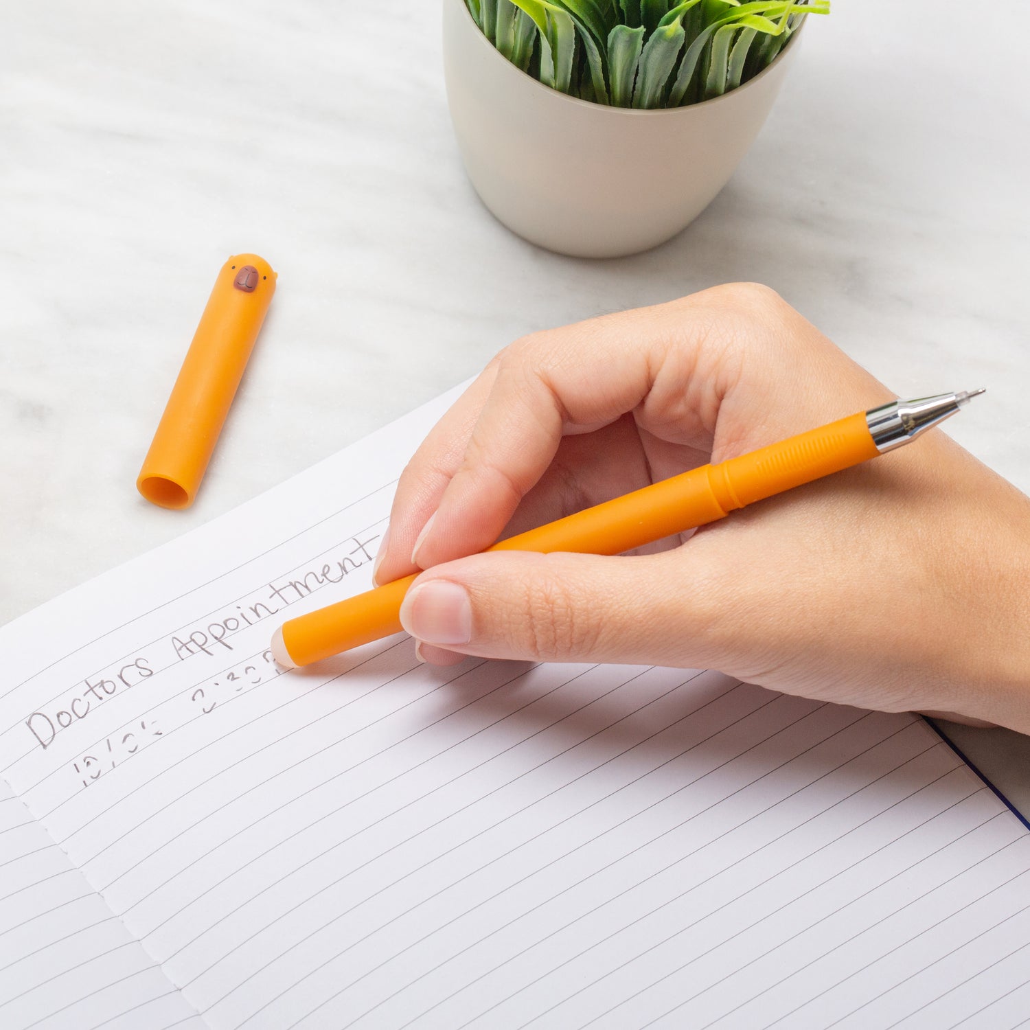 Capybara Erasable Gel Pens