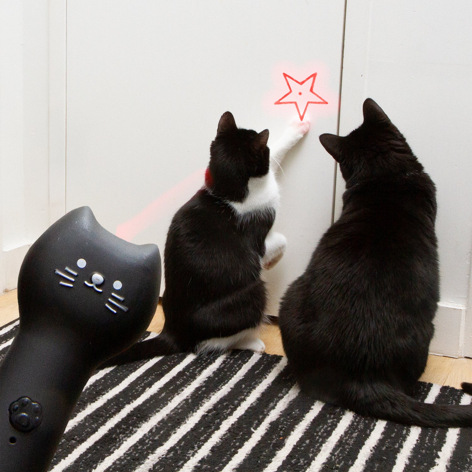Kiko Rechargeable Pounce&Play Laser